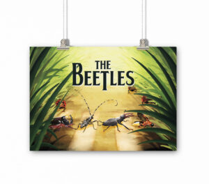 The BEETLES