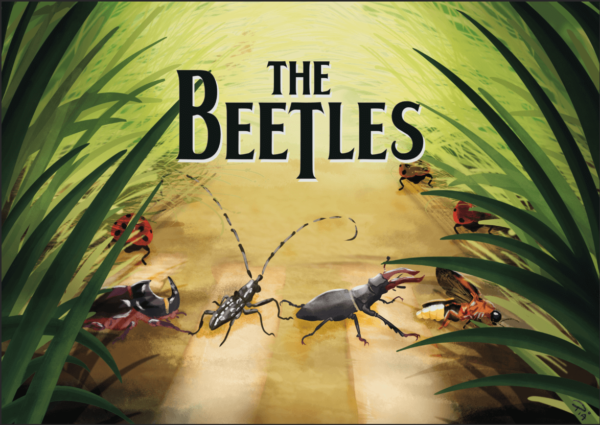 the beetles